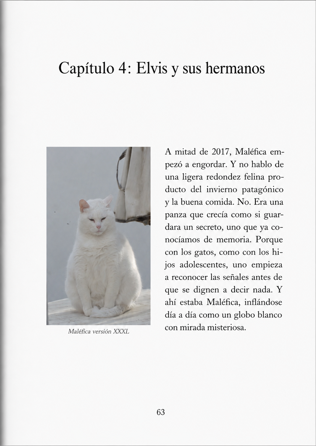 Diseño editorial para historia de mascota